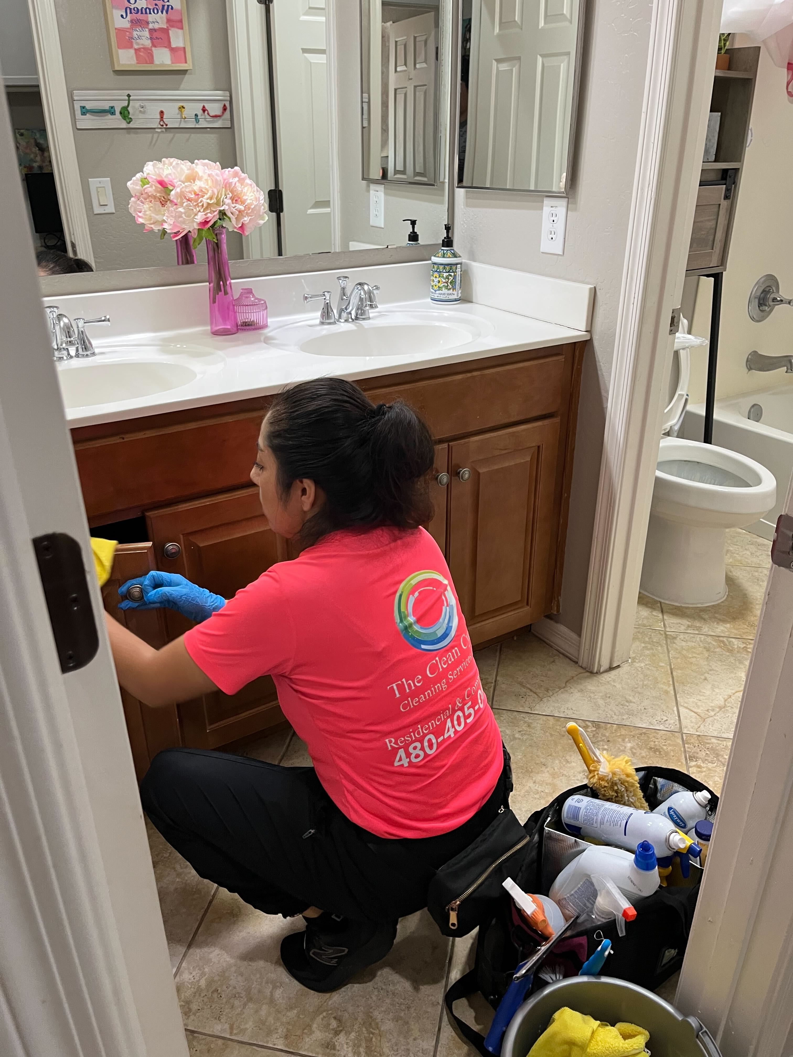 Professional cleaning services